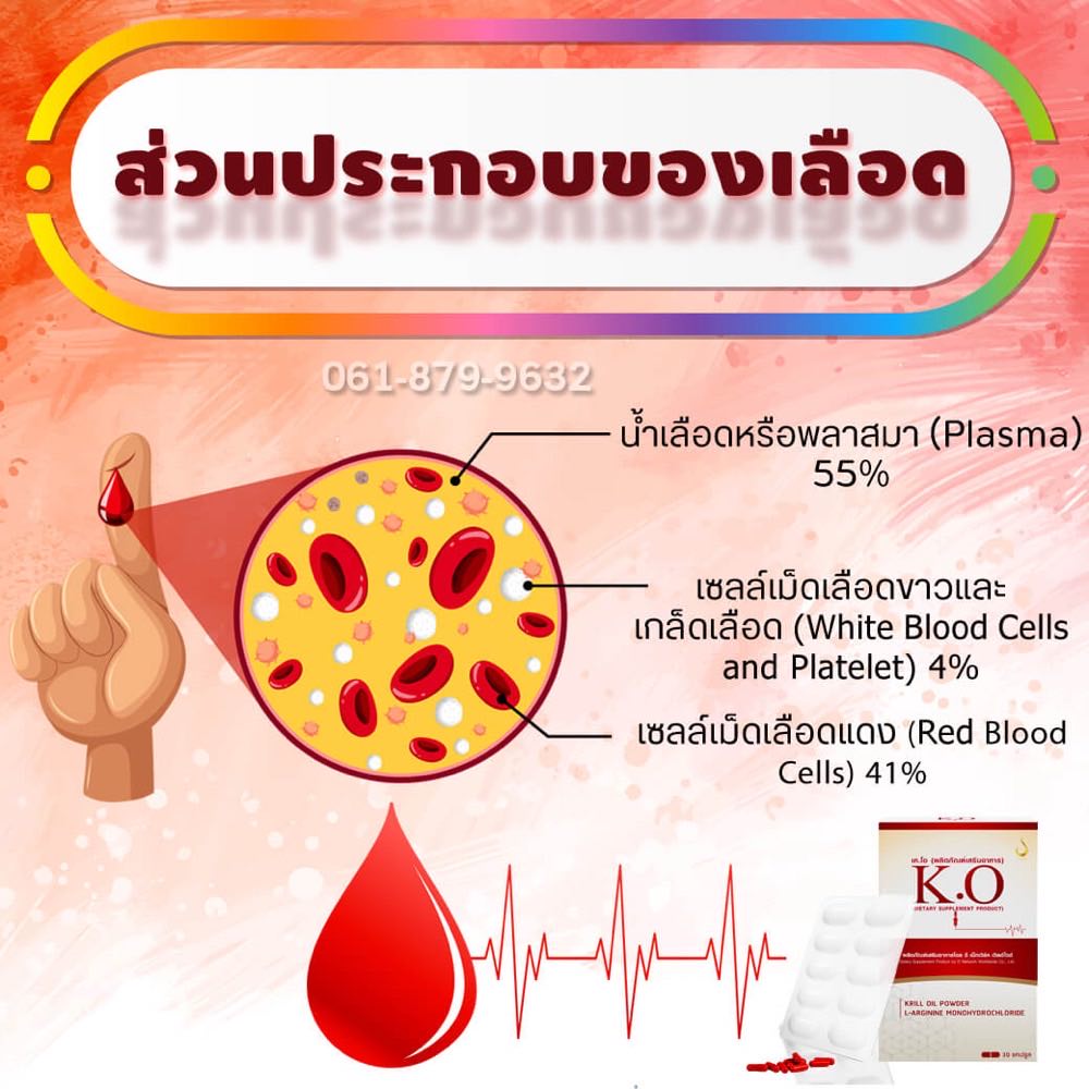 ส่วนประกอบของเลือด รู้จักใน 5 นาที