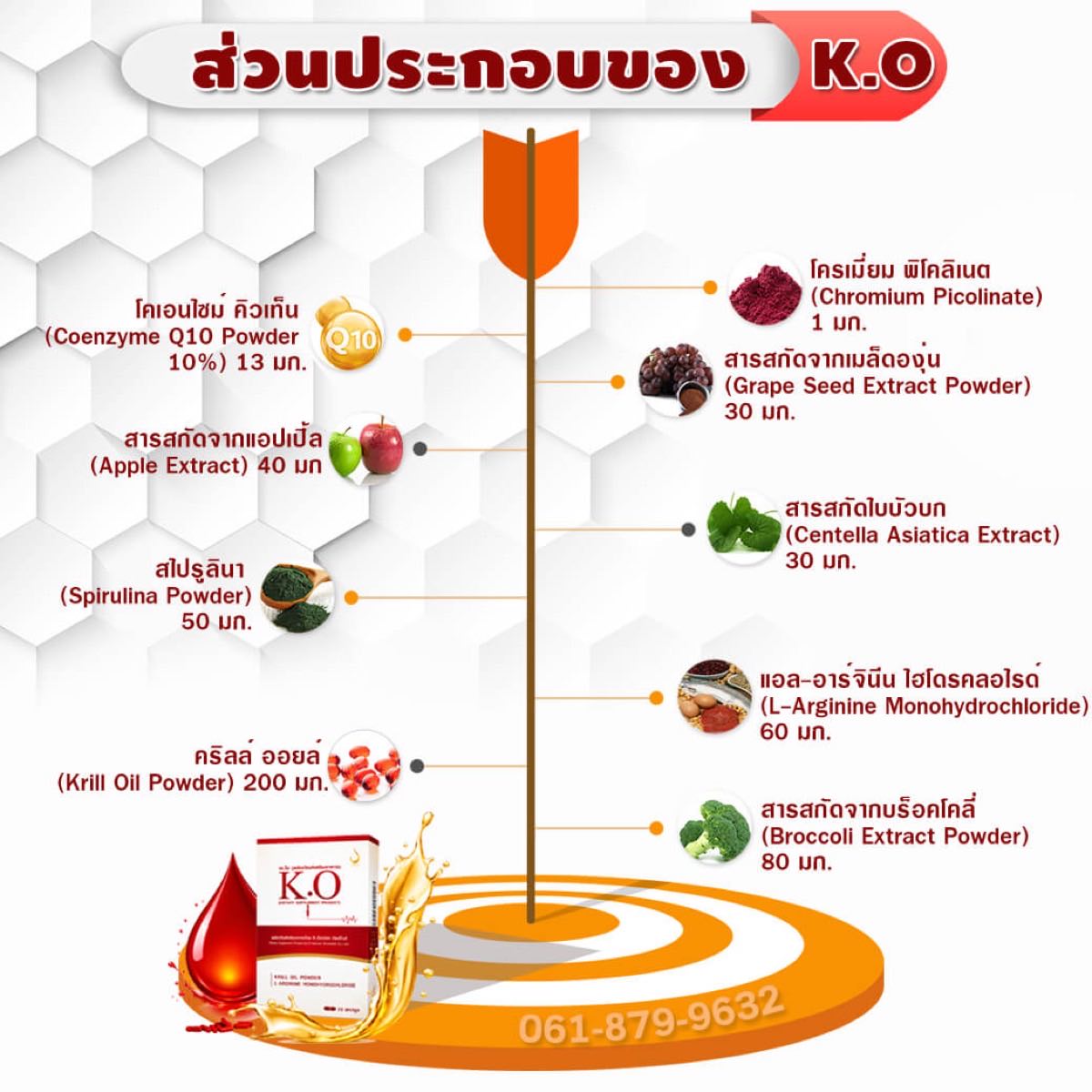 แผนภาพส่วนประกอบของ K.O ทั้ง 9 ชนิด