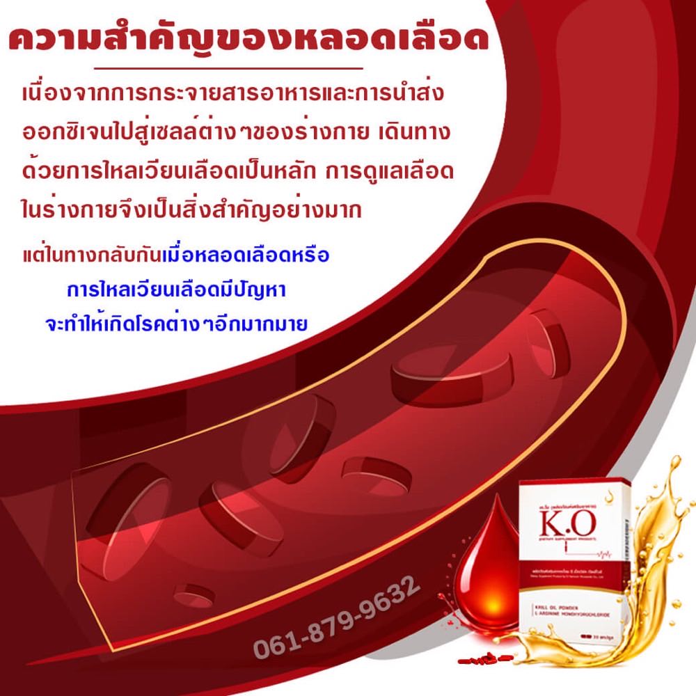 ความสำคัญของระบบเลือด